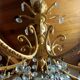 Grape variety chandelier