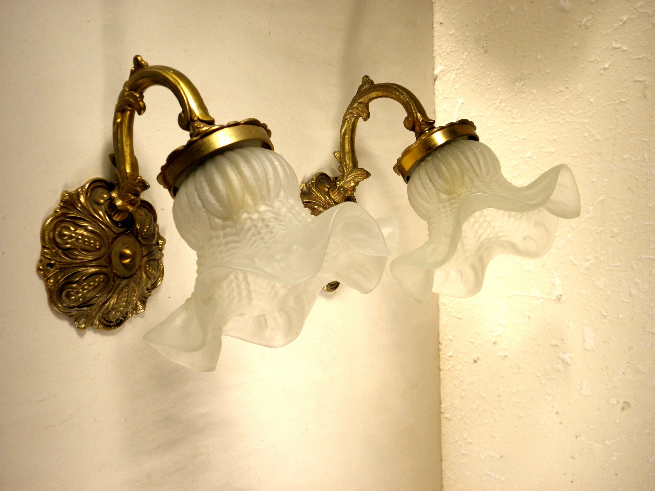 Pair of gooseneck sconces in brass and glass