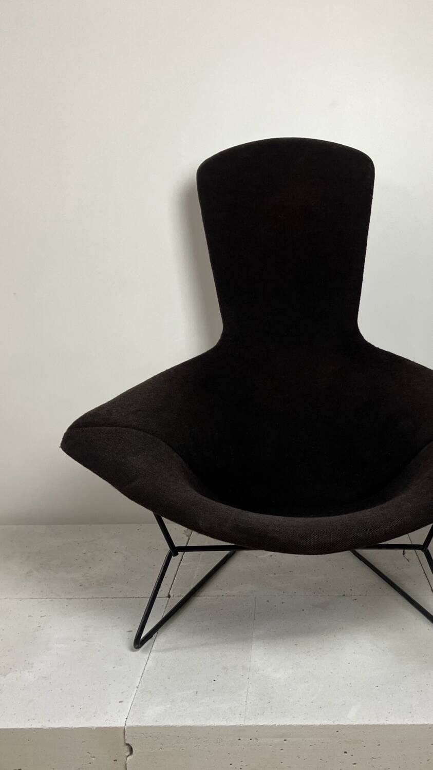 Model Bird armchair by Harry Bertoia for Knoll, 1970s