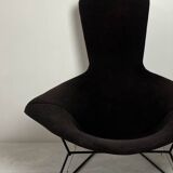 Bird Model Armchair by Harry Bertoia for Knoll, 1970s