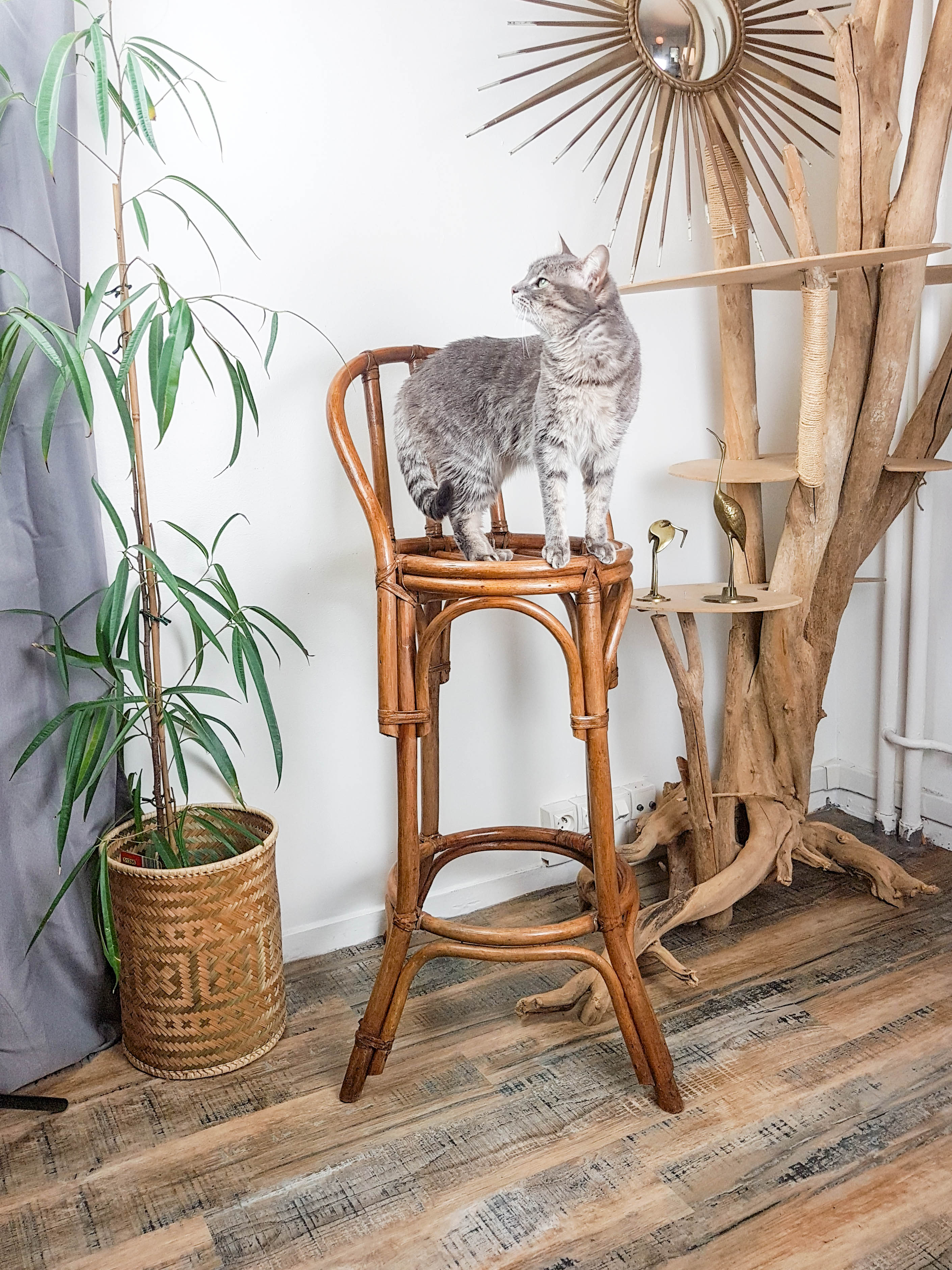 Wooden bistro set dime turned Thonet style