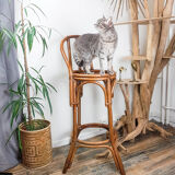 Wooden bistro set dime turned Thonet style