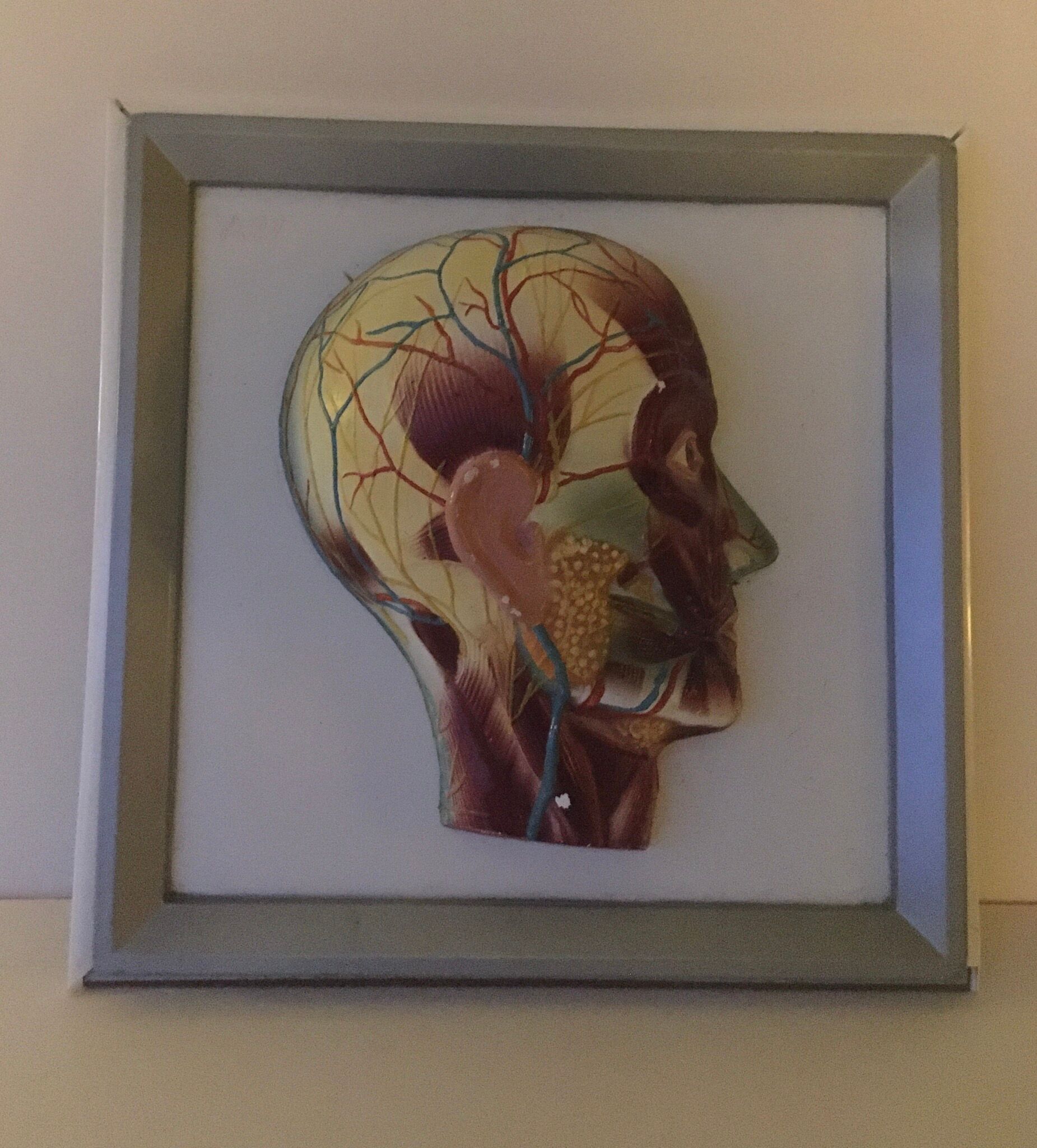 Vintagev skinned head