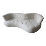 Roche Bobois Sense Sofa