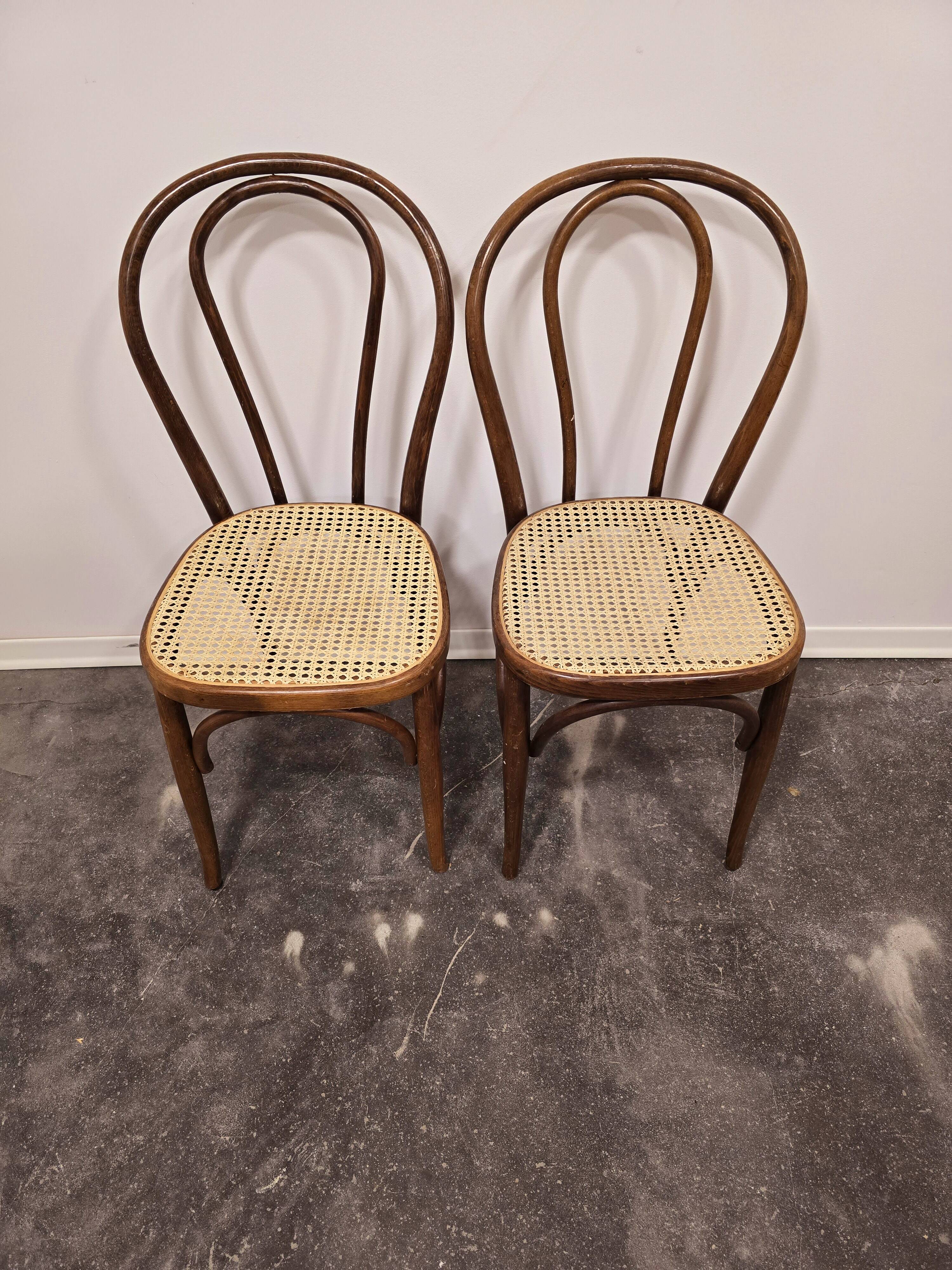 Bois courbé n° 18, années 1960 1 sur 2