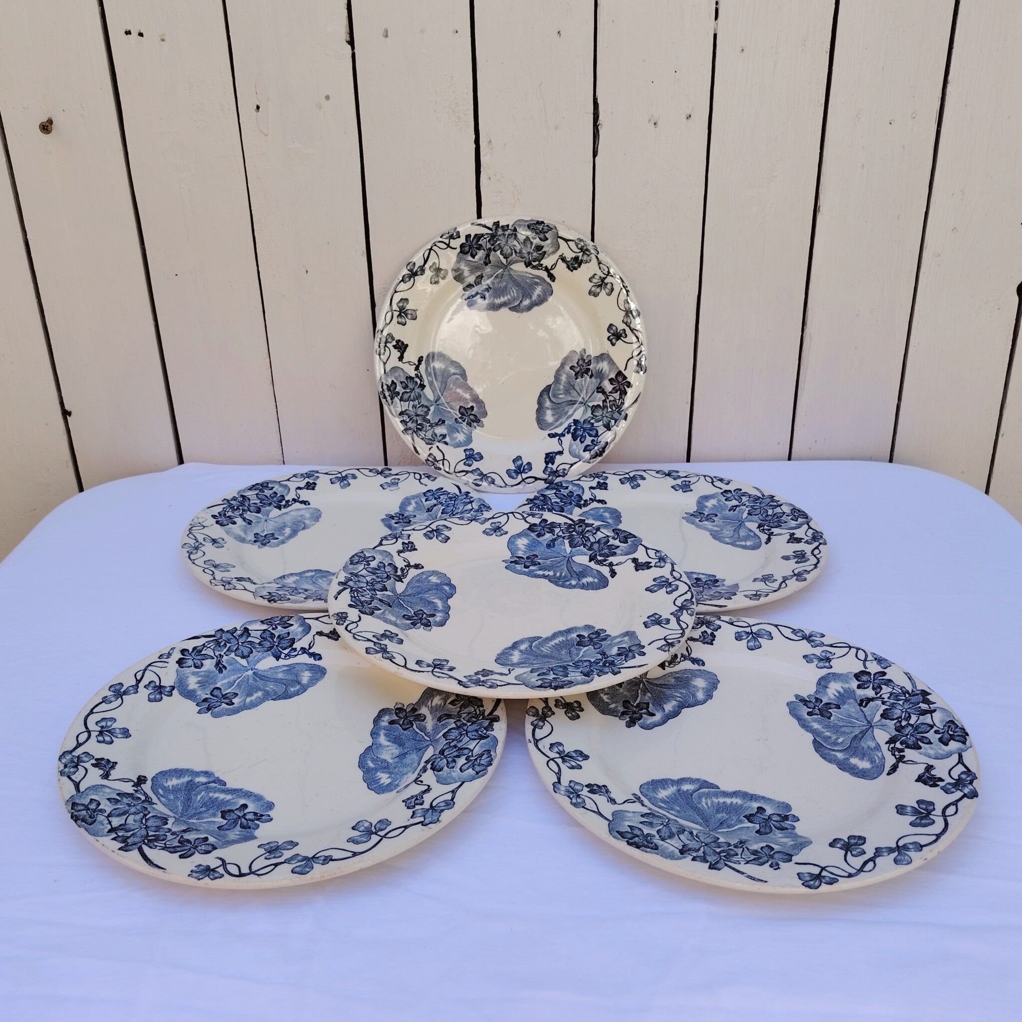 Plates, the salt shakers model the violets, ironstone.