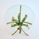 Pedestal table / Side table bouquet of flowers / Roses wrought iron 1960 vintage