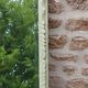 Large antique bevelled mirror in carved solid wood, green lizard – 129 × 75