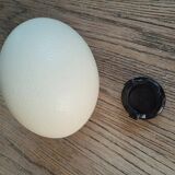 Ostrich egg with support