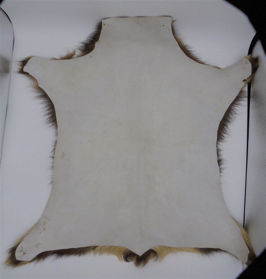 Goat skin