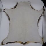 Goat skin