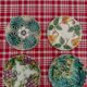 set of 4 plates splashes autumn