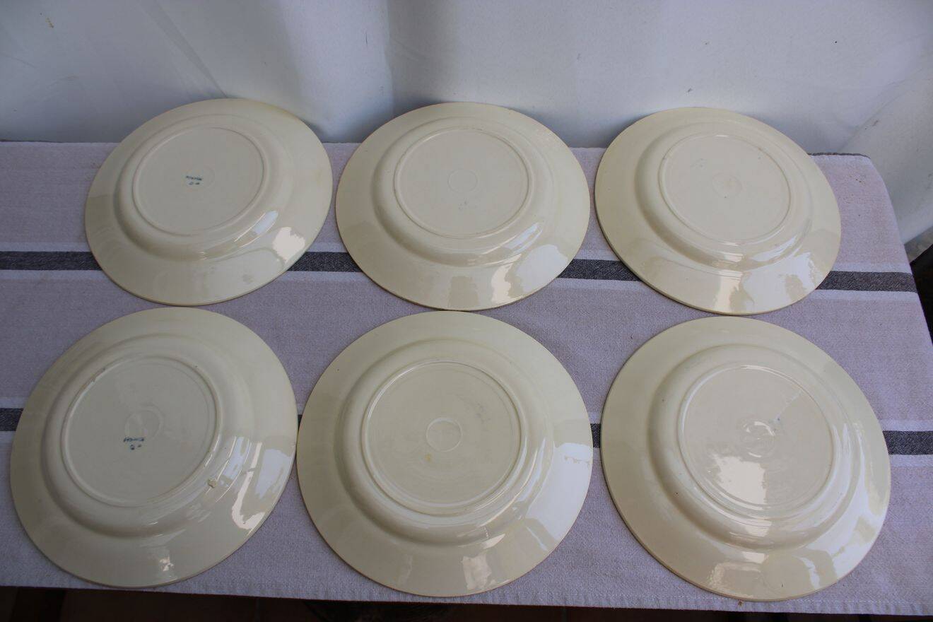 Set of 6 ceramic dinner plates