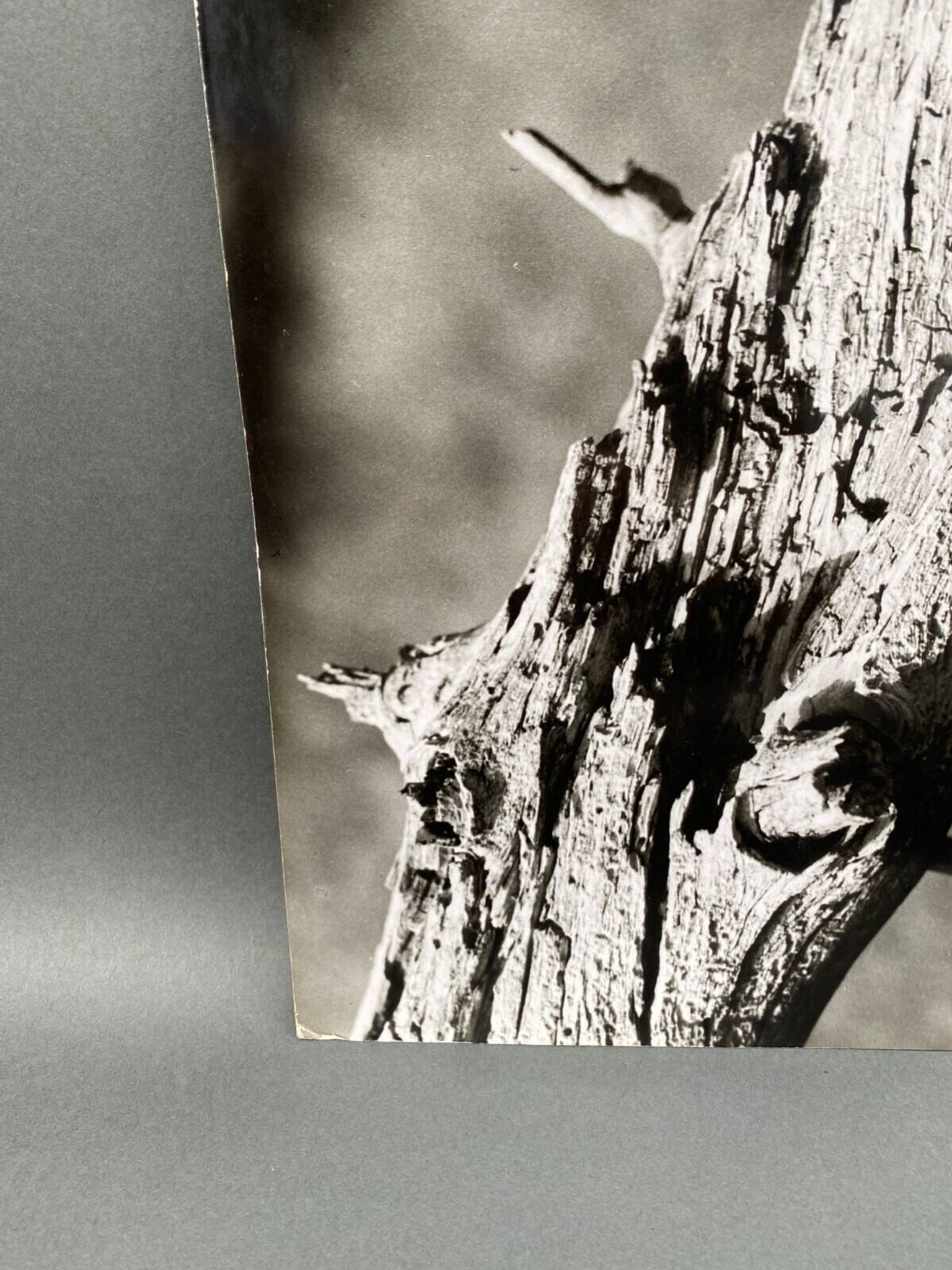 Silver gelatin photograph by Bernard Darot, 20th century study, Nantes Photo Club AFIAP