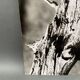 Silver gelatin photograph by Bernard Darot, 20th century study, Nantes Photo Club AFIAP