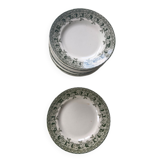 Set of 12 flat plates Moulin des loups model Mûrier