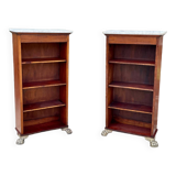 Pair of empire style mahogany bibuses