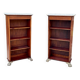 Pair of empire style mahogany bibuses