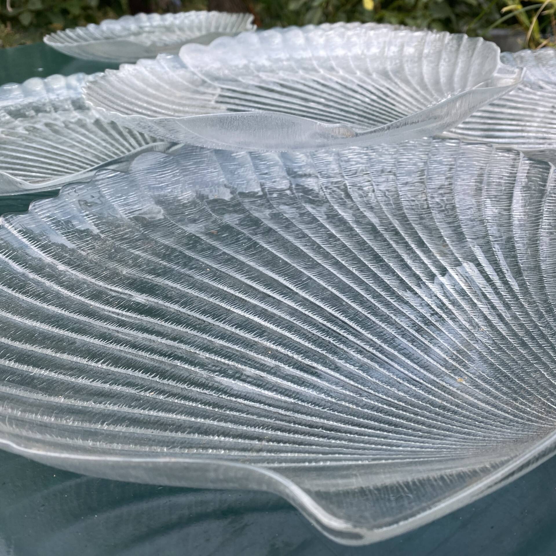 Grandes assiettes plates coquillage , Saint-Jacques 