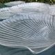 Grandes assiettes plates coquillage , Saint-Jacques 