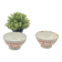 Duo of old ceramic bowls