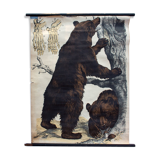 Affiche "Ours brun"  lithographie par J. F. Schreiber 1893