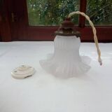 Glass tulip pendant light
