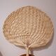 Vintage fan