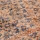 Peach Vintage Moroccan Wool Rug 188 x 317 cm , Berber Rug Handmade, Unique