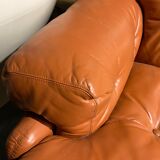 Coronado sofa by Afra and Tobia Scarpa model for C&B, 1971