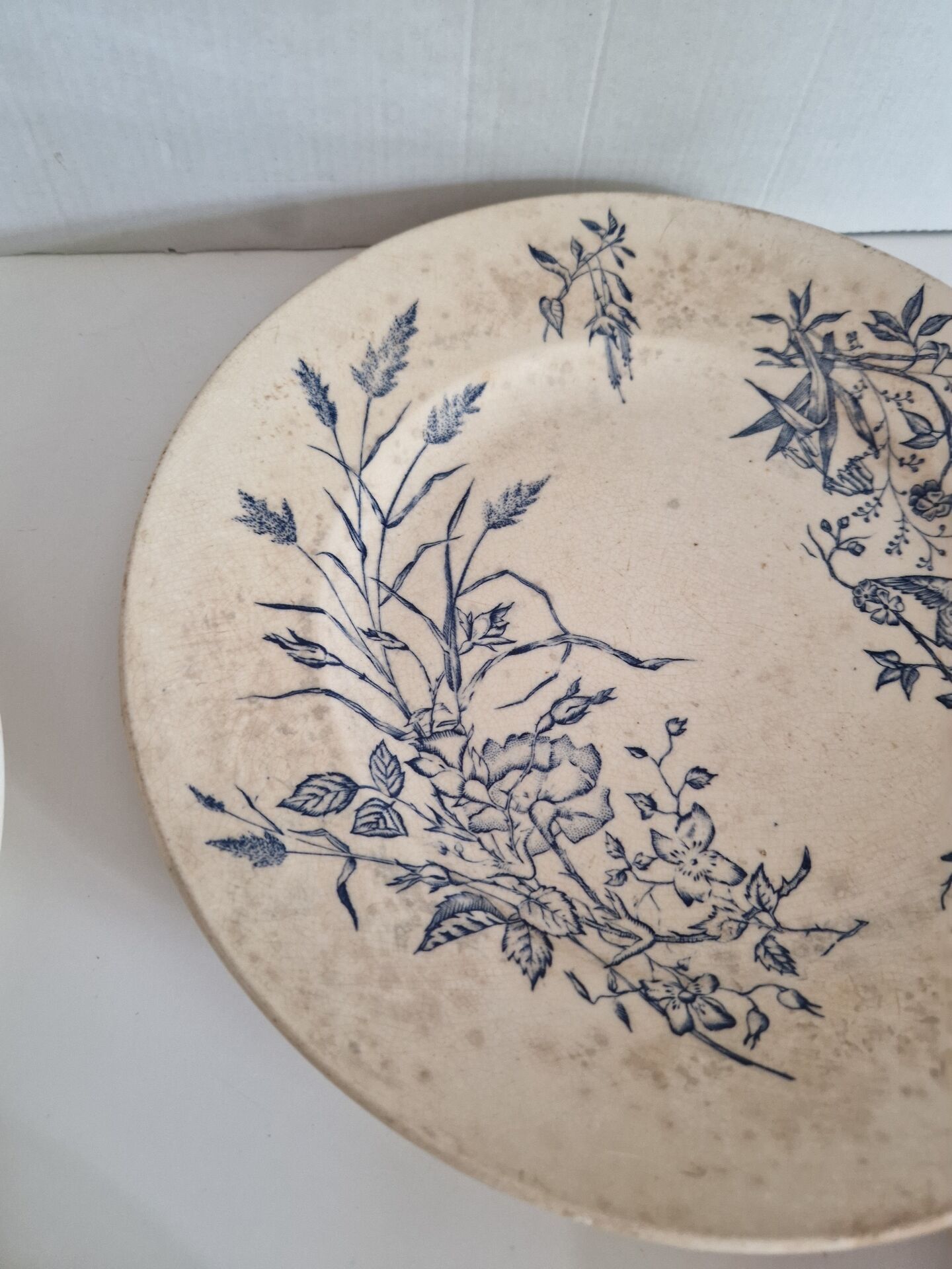 Lot De 9 Assiettes Plates Terre De Fer