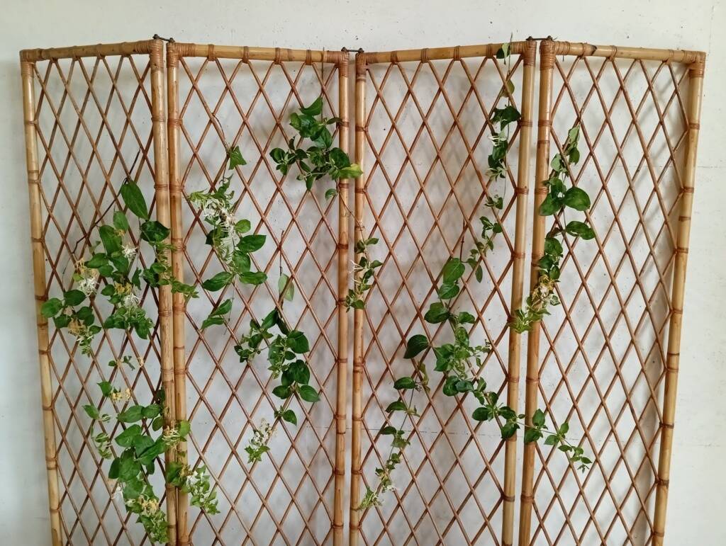 1960s lattice rattan screen