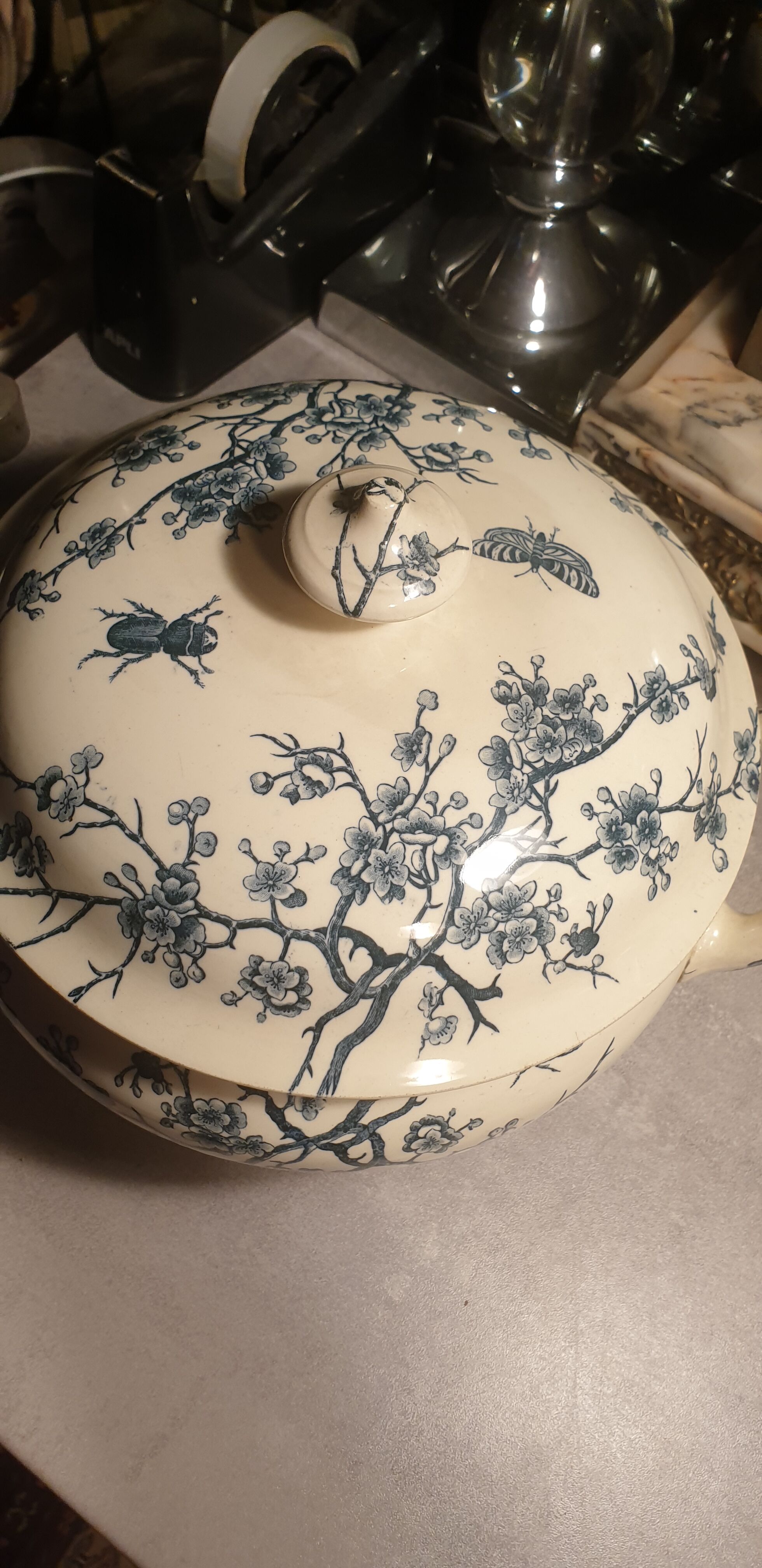 Insect Shoemaker XIXth