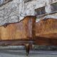 Rounded Walnut Burl Double Bed, 1950s