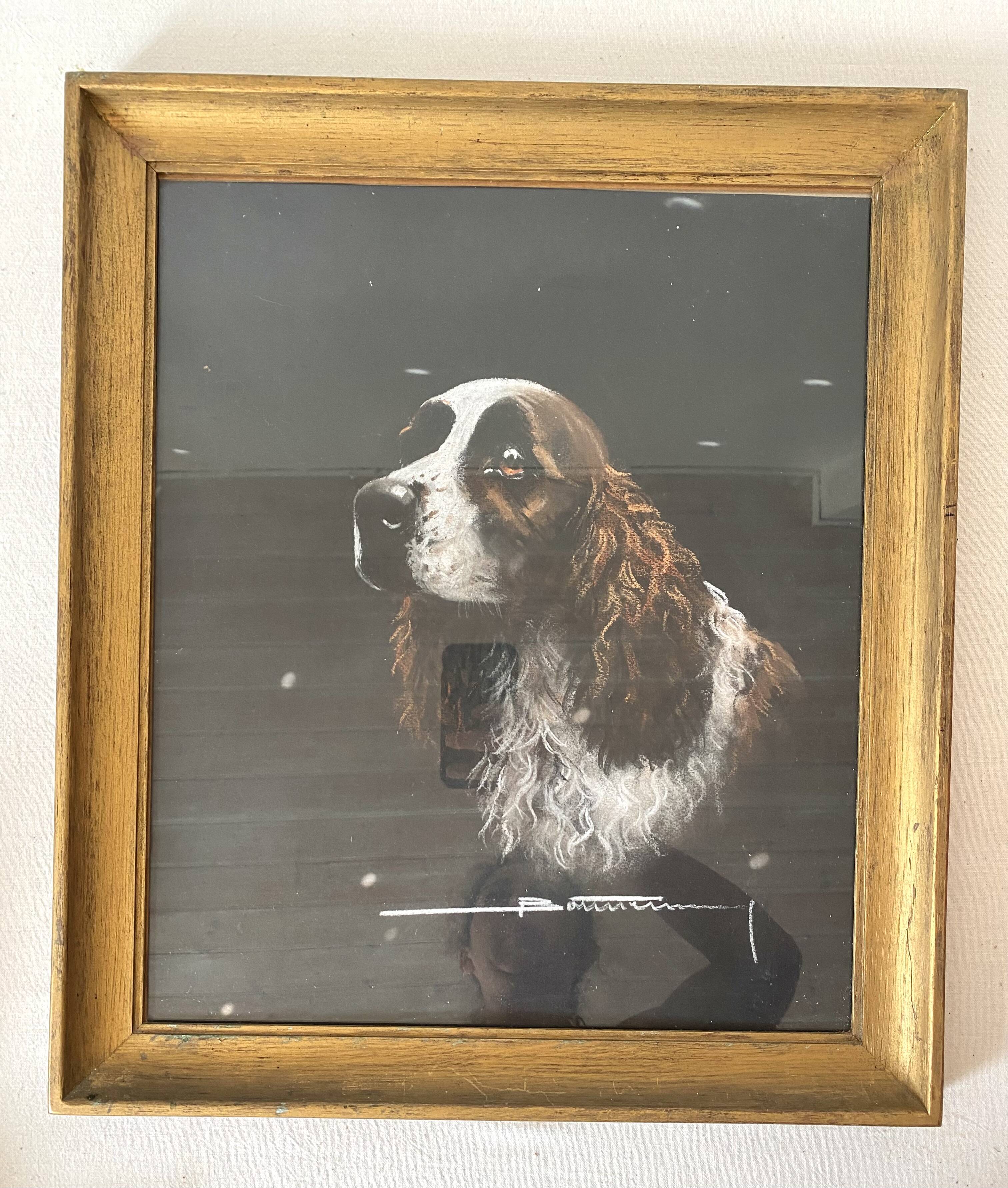 Framed pastel English Springer Spaniel dog