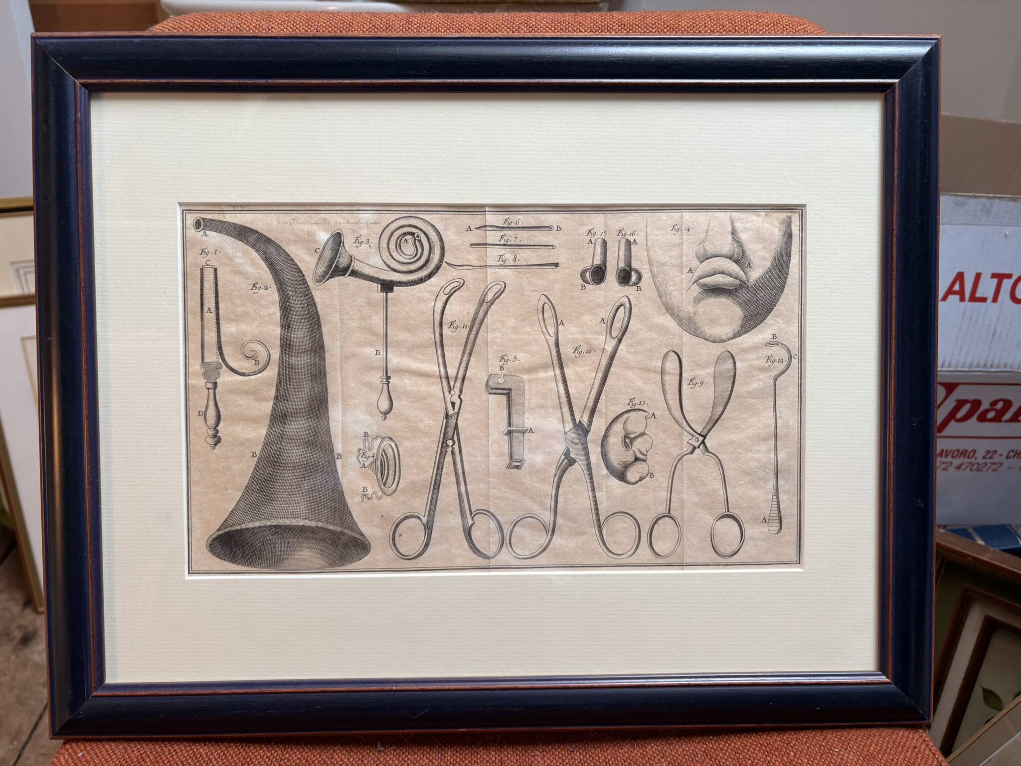 Antique Print Engraving 19th Century Framed Medical Instruments engraving Lorenzo