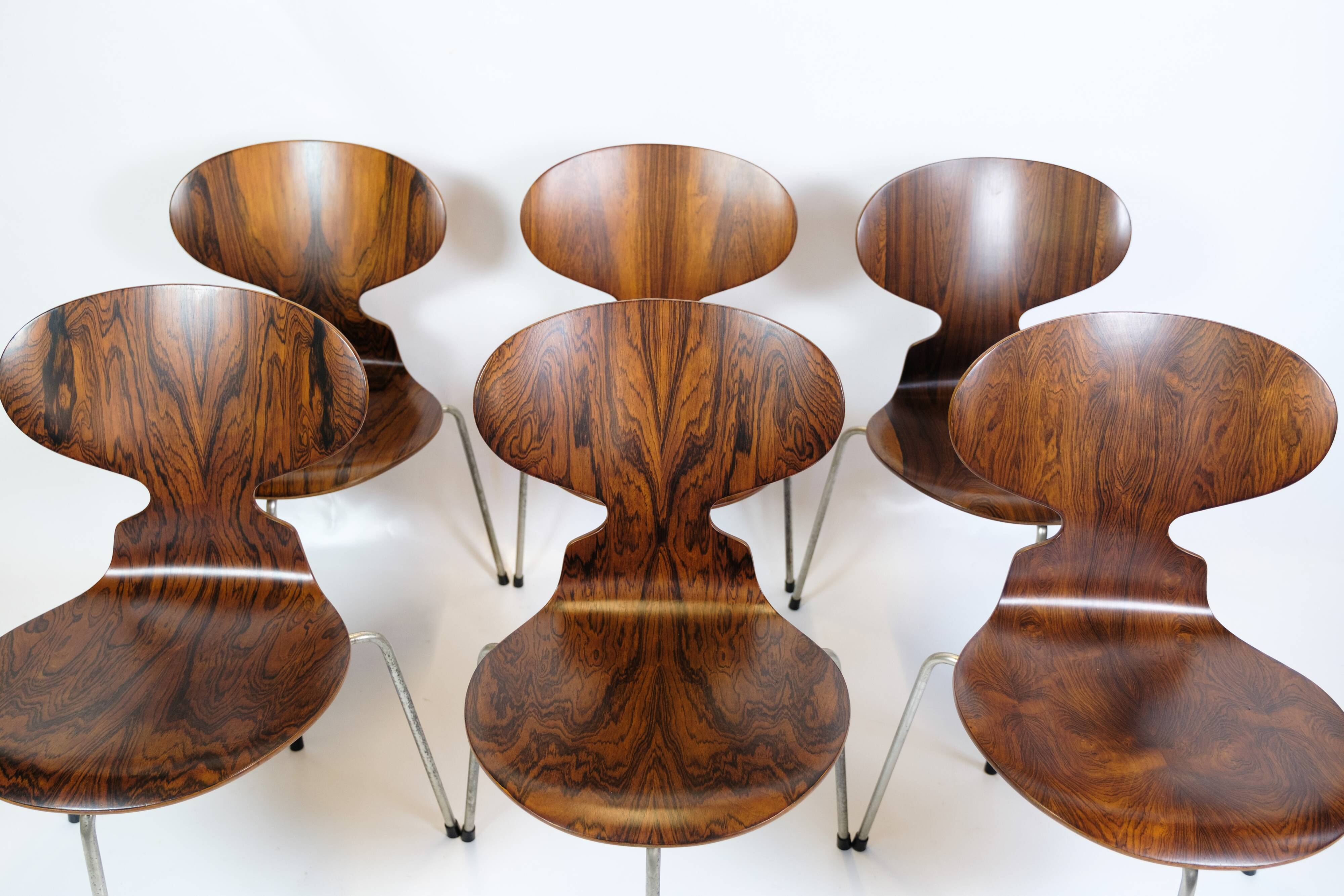 Set Of 6 Ant Chairs Model 3101 Made In Rosewood By Arne Jacobsen For Fritz Hansen From 1950s