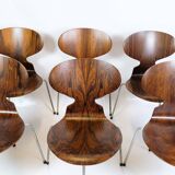 Lot de 6 chaises Ant modèle 3101 fabriquées en palissandre par Arne Jacobsen pour Fritz Hansen des années 1950