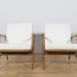 Mid-Century Model 300-139 Armchairs from Swarzędz Factory, 1960s, Set of 2