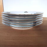 6 flat porcelain plates peacock