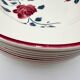 9 soup plates Badonviller model "Les Roses" from the 1950s