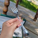 Christofle fork and spoon set in silver metal