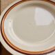 Vintage plate from Moulin des Loups Saint-Amand, Pasteur model.