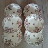 6 polychrome ironstone soup plates