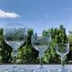 Service de verres anciens à frises guillochées