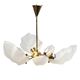 Beautiful chandelier, leaf type, Železny Brod Sklo ZBS, Czechoslovakia, 1970s.