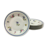 Set of 6 hollow plates "lourioux foëcy"
