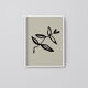 Botanical illustration giclee print, 50x70
