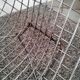 Diamond design chromed metal Chair Harry Bertoia Knoll early 1970s edition