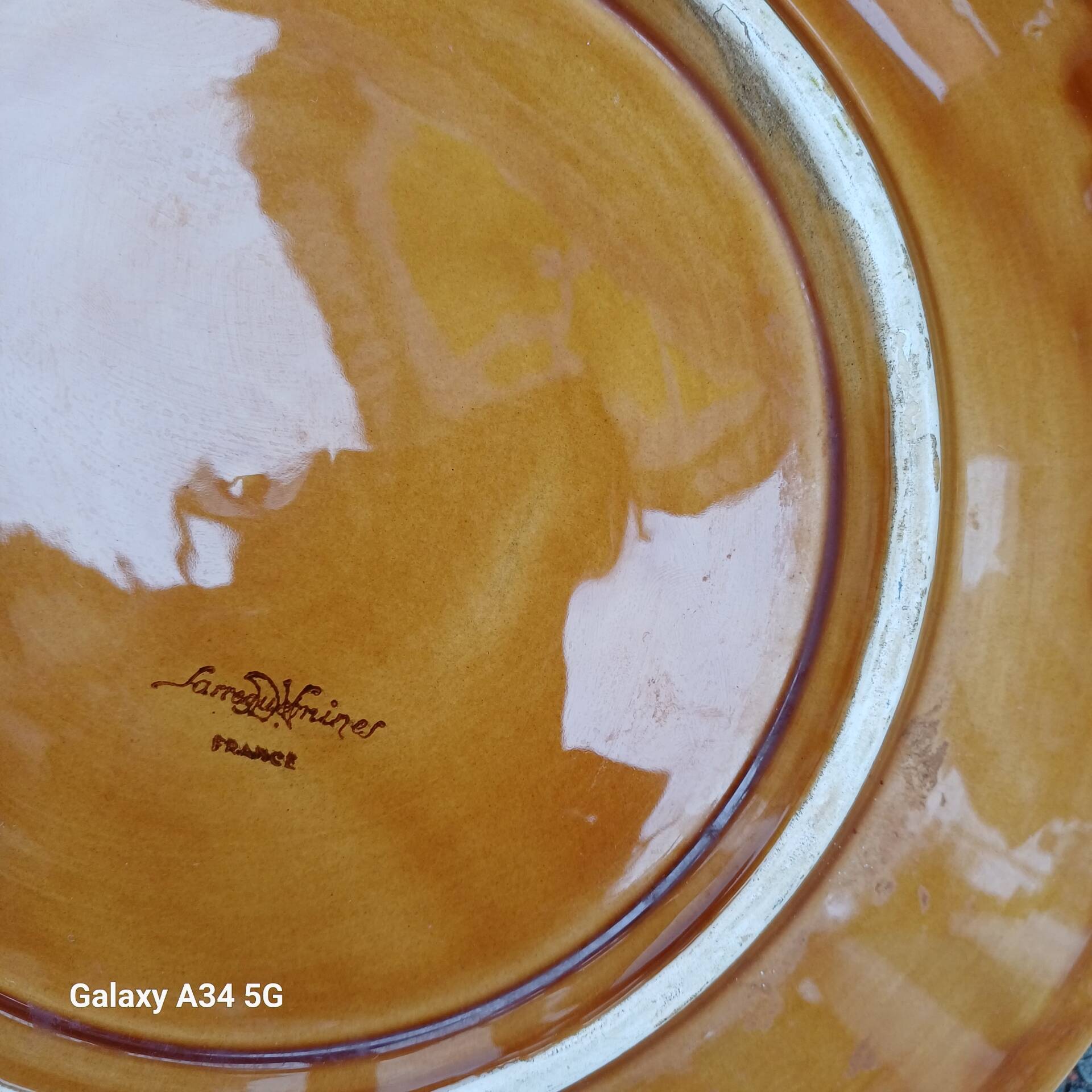 Rare large Majolica plate Nénuphar – Sarreguemines Vintage